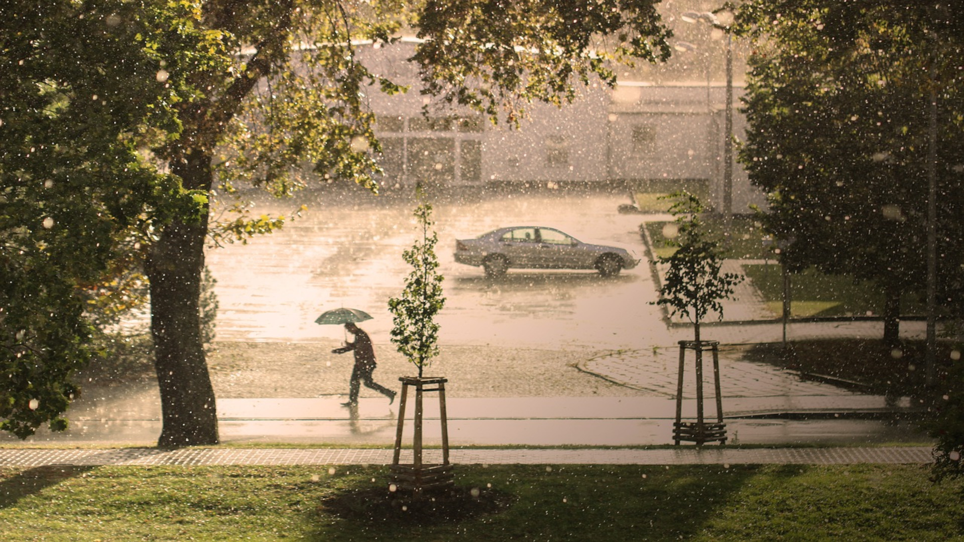 Giornata Mondiale di Azione per il Clima: per un Futuro Sostenibile