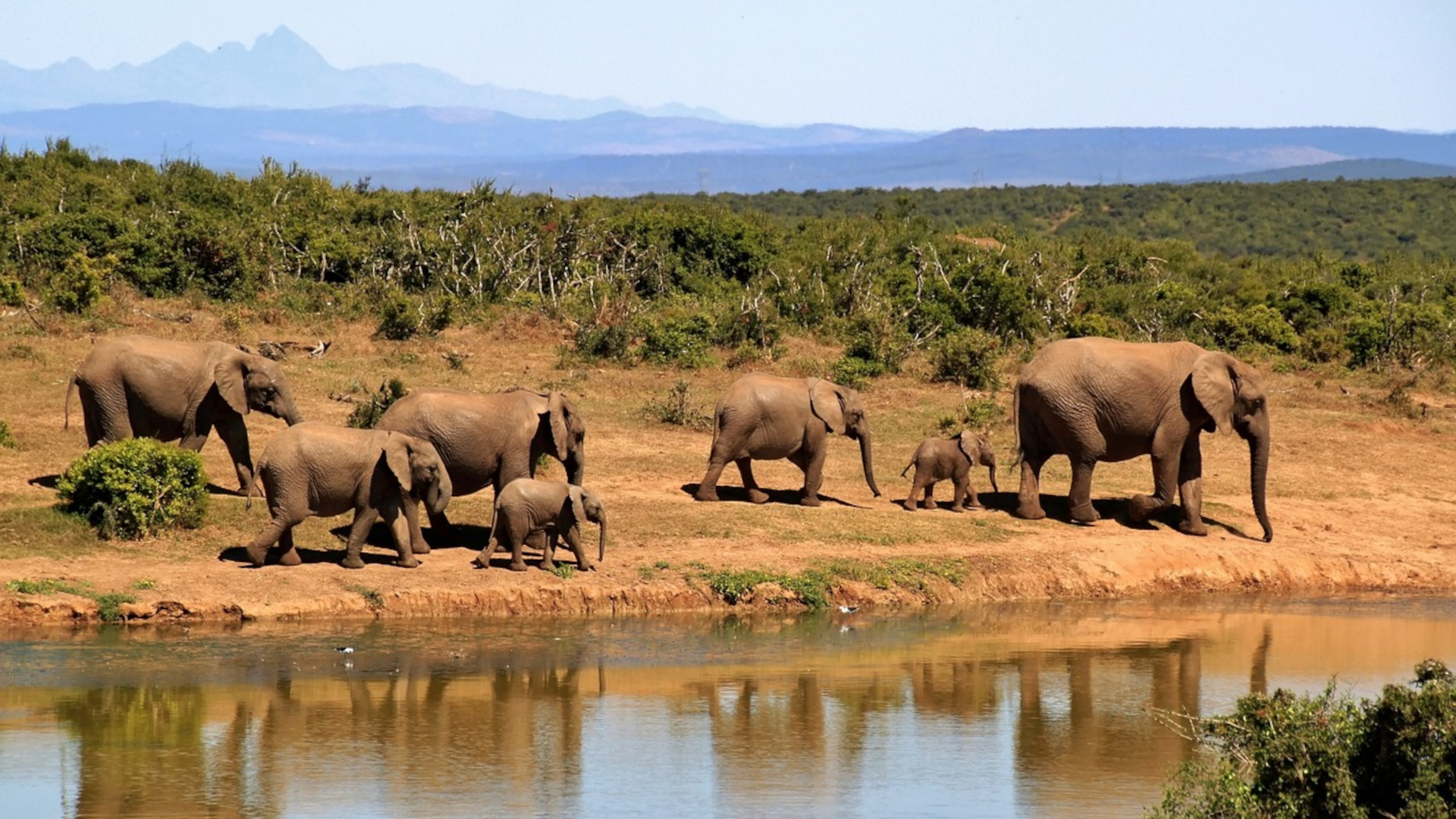 La Giornata Mondiale della Fauna Selvatica