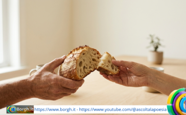 Il valore del pane: quando condividere diventa un gesto di umanità